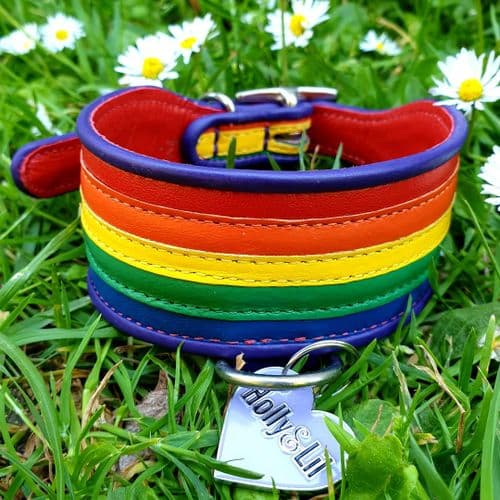 The Rainbow Perfect for your "Toto" HOUND collar