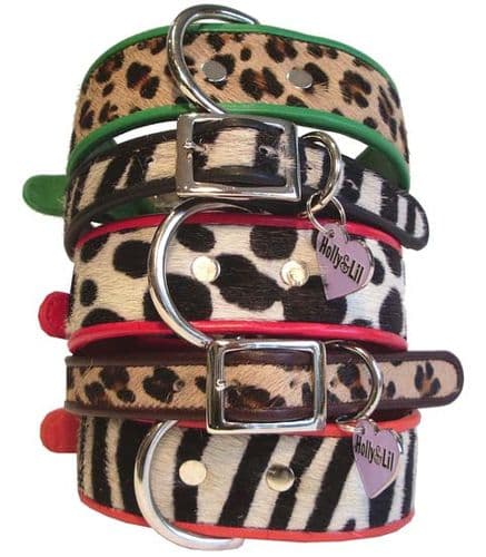 The Safari Collection<br>Dog Collars