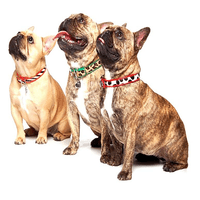 The Safari Collection Dog Collars - Holly & Lil Collars Handmade in Britain, Leather dog collars, leads & Dog harnesses.