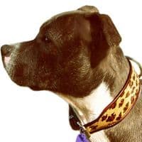 The Safari Collection Dog Collars - Holly & Lil Collars Handmade in Britain, Leather dog collars, leads & Dog harnesses.