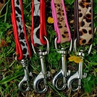 The Safari Collection Dog Collars - Holly & Lil Collars Handmade in Britain, Leather dog collars, leads & Dog harnesses.