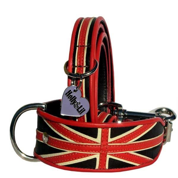 Union Orange Dog Collar Limited Edition Holly & Lil Collars Handmade
