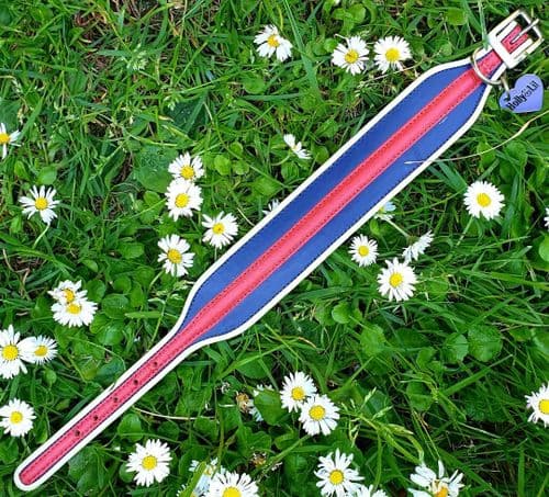 Vogue 'Regimental' Collar for HOUNDS