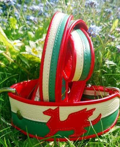 Y Ddraig Goch. Wales Flag Dog Collar.