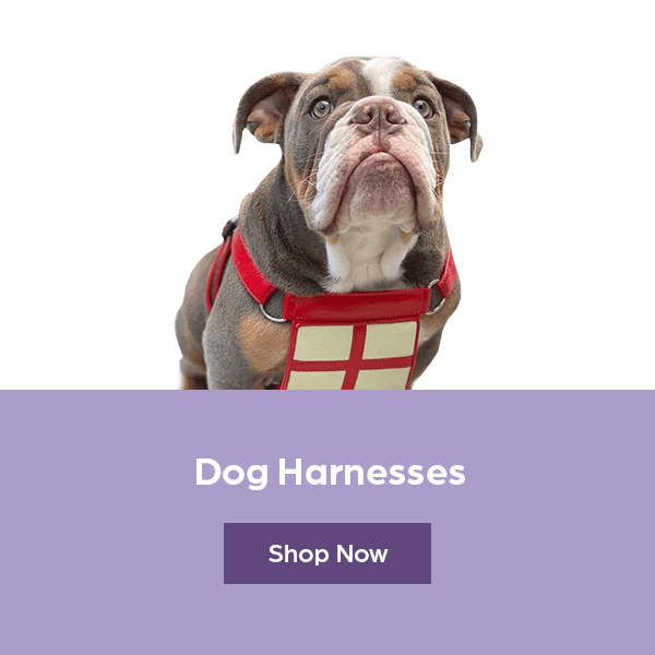 Dog Harnesses