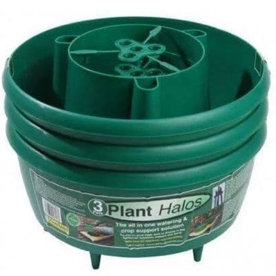 3 Pack Tomato Bean & Pepper Grow & Water Halos