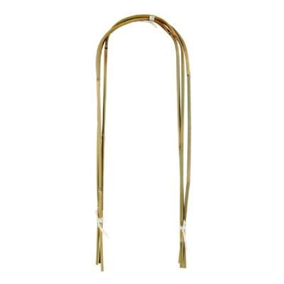 3 Pack U Shaped Bamboo Cane Plant Supports 60cm