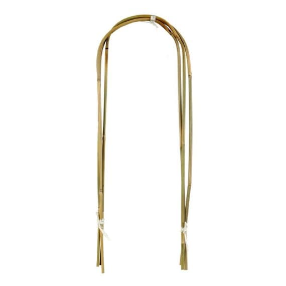 3 Pack U Shaped Bamboo Cane Plant Supports 60cm