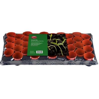 40 Grow Pots in Carry Tray 6cm