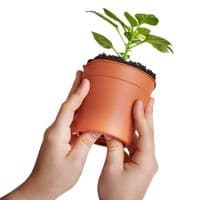 Clever Pots 5 Pack Medium Easy  Push Release Pots 5