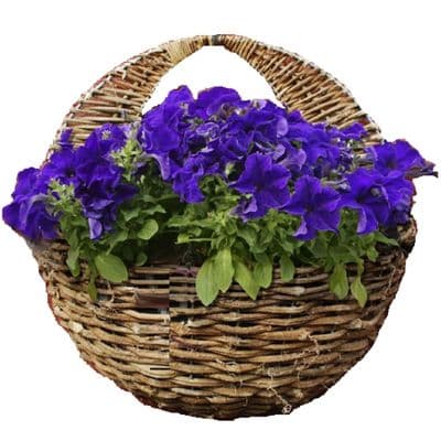 Extra Large 40cm Natural Rattan Wicker Hanging Wall Basket