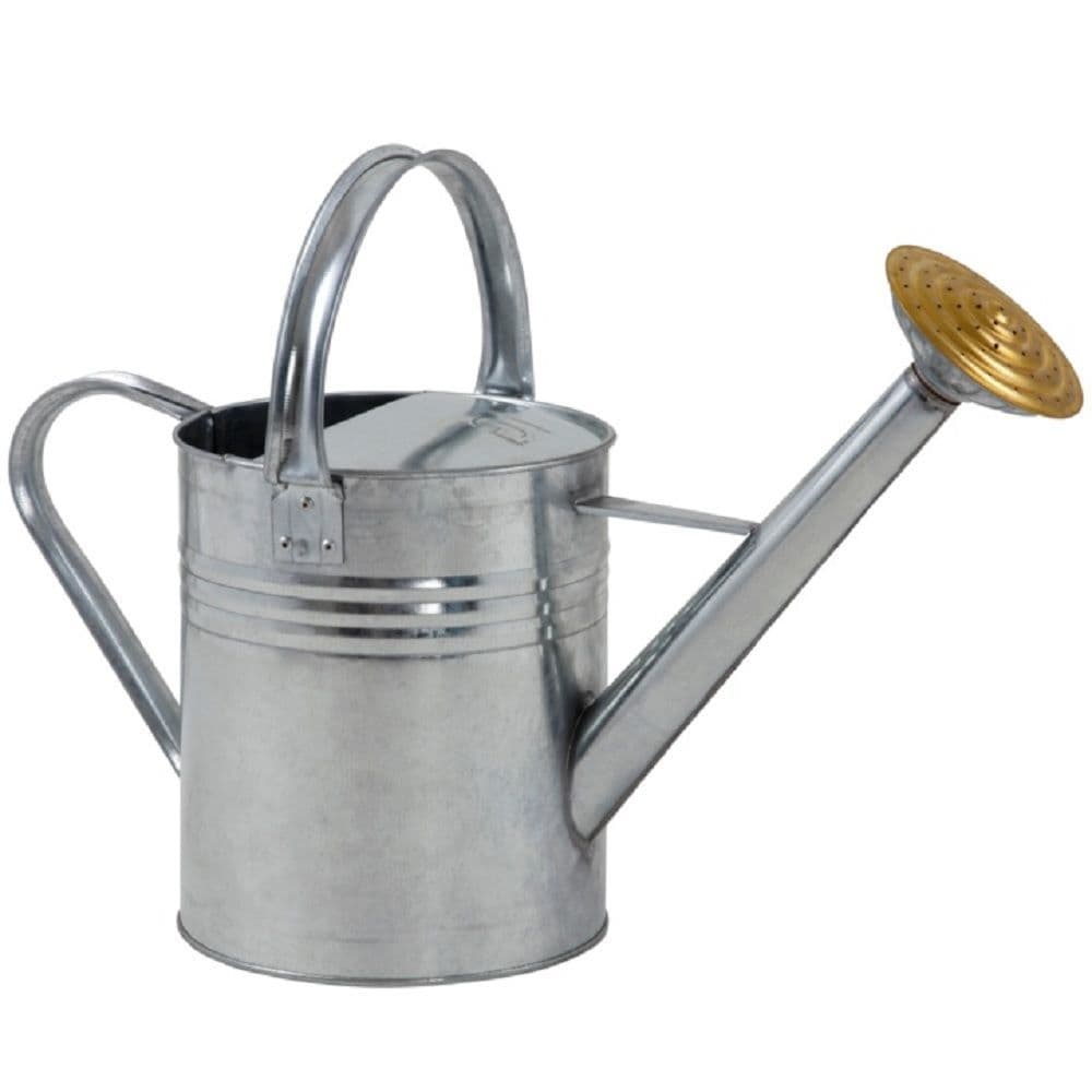 Galvanised Watering Can Brass Rose 1 Gallon