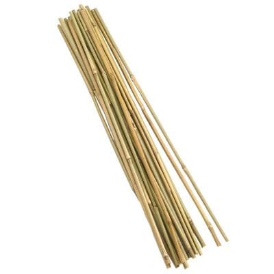 GoodGrow 20 Pack 60cm Bamboo Garden Plant Support Canes