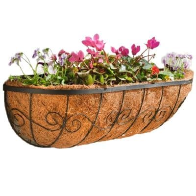 Long 60cm Decorative Black Scrolled Metal Wall Trough with Coir Liner