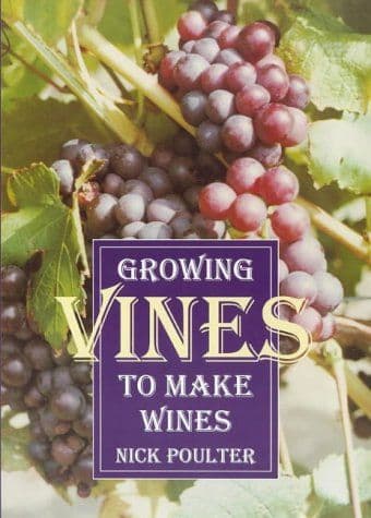 Growing Vines To Make Wines