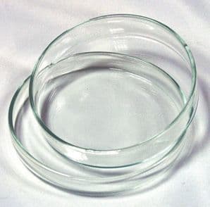 Petri Dish Glass 80x15mm from Brouwland