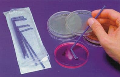 Spatula Sterile, 5 pcs, Packed Individually