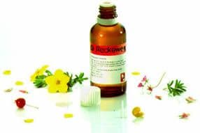 * Dr Reckeweg R182 *