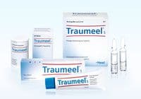 Traumeel S Drops