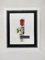 Roses A6 Medley Stamp