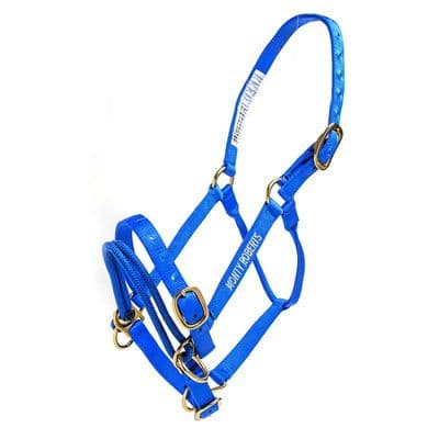 Monty Roberts Dually Halter Large Blue Nylon Headcollar