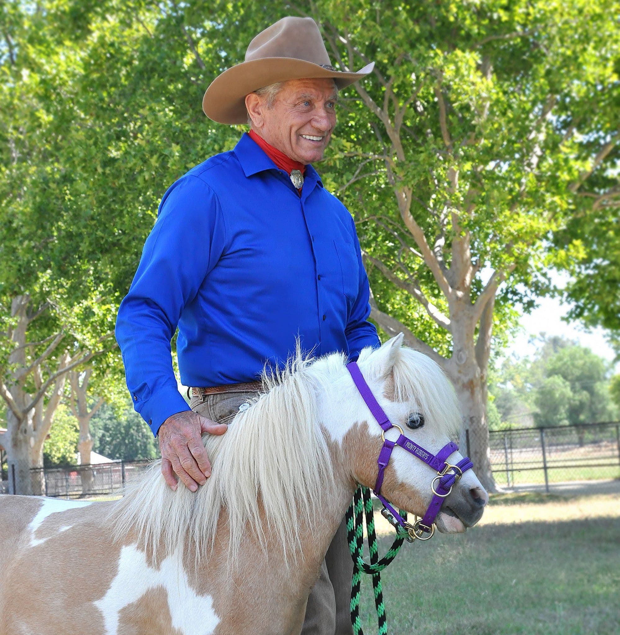 Monty Roberts Dually Halter Minature Small Pony Purple Nylon Headcollar