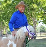 Monty Roberts Dually Halter Minature Small Pony Purple Nylon Headcollar