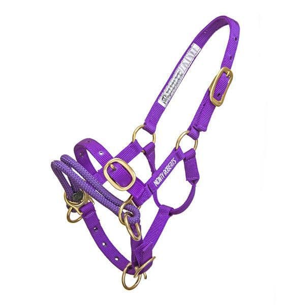 Monty Roberts Dually Halter Minature Small Pony Purple Nylon Headcollar