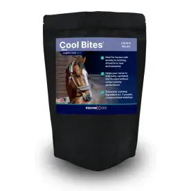 Cool Bites