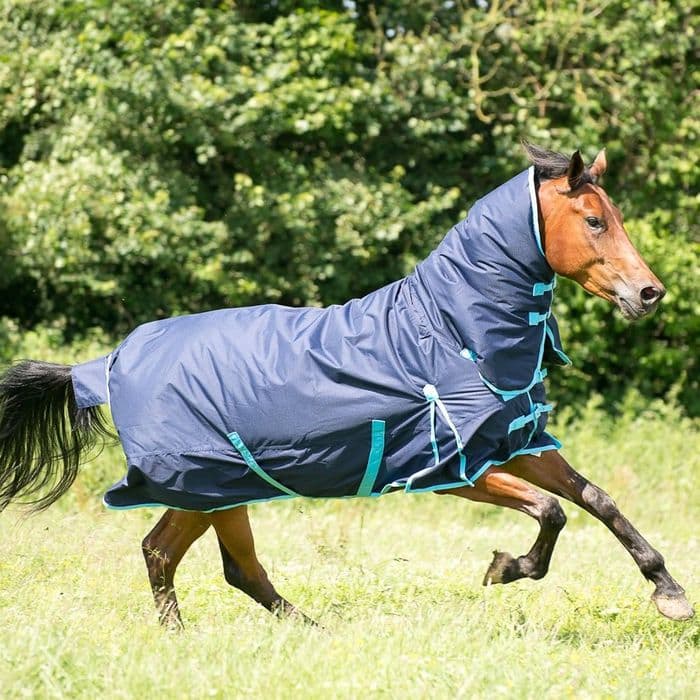 Gallop Combo Heavyweight 350g Trojan Turnout Rug. Full Neck.