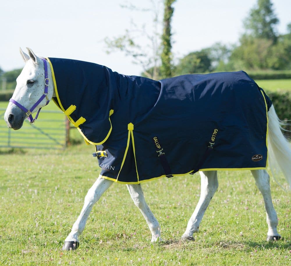 Gallop Medium Weight Full Neck Turnout Rug All Sizes