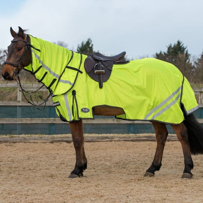 GALLOP Ride-On Fly Mesh Rug & Neck Set