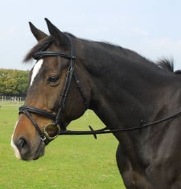 Heritage English Leather Bridle with Flash