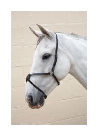 Hy Mexican Grackle Nose Band~Brown