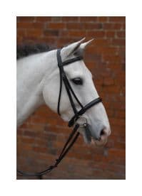 Hy Padded Cavesson Bridle with Rubber Grip Reins~Black