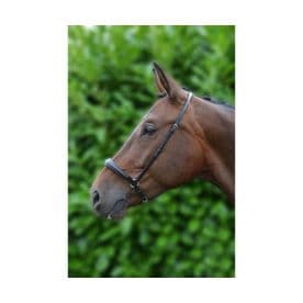 Hy Padded Drop Nose Band