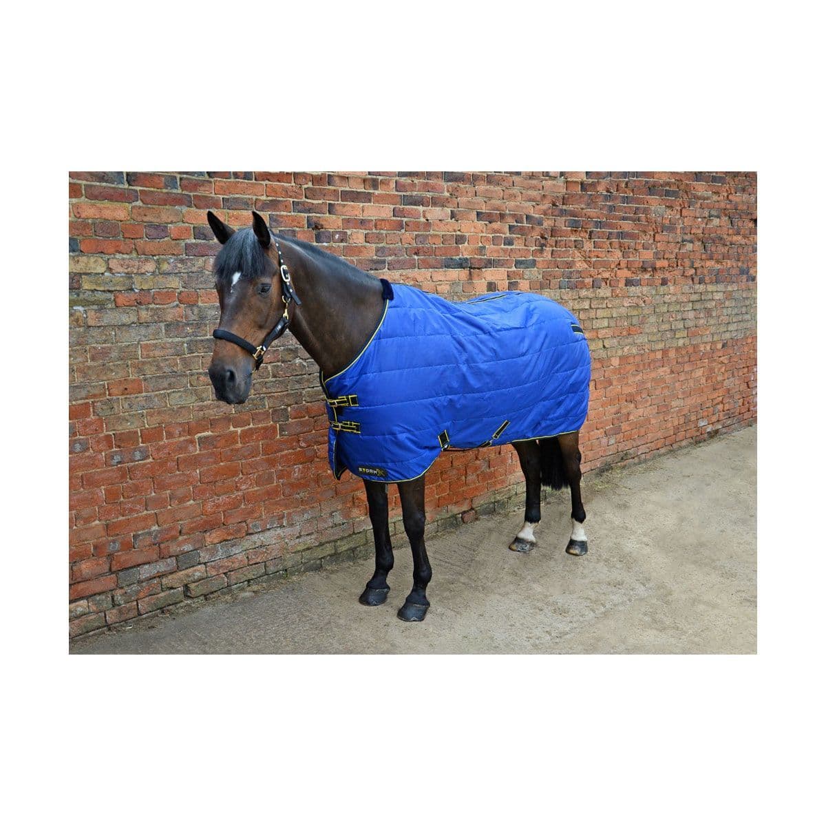 Hy StormX Original 100 Stable Rug