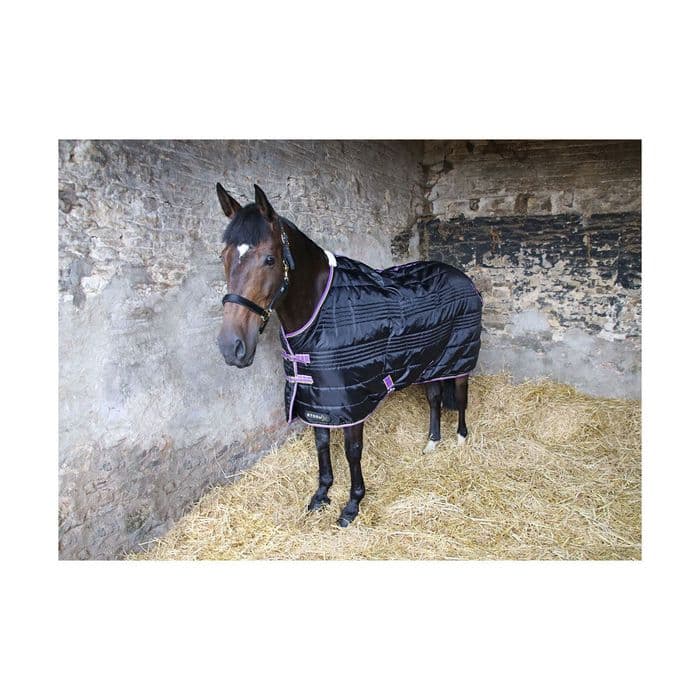 Hy StormX Original 200 Stable Rug