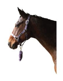 Hy Tartan Head Collar with Lead Rope~Purple/Grey/Lilac