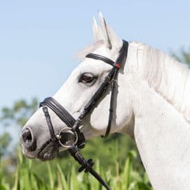Kieffer Ultrasoft Economy Snaffle Bridle - Black