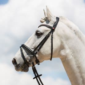 Kieffer Ultrasoft Fashion Snaffle Bridle