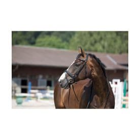 Kieffer Ultrasoft Snaffle Bridle~Black
