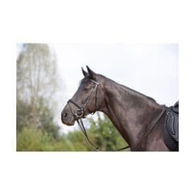 Kieffer Ultrasoft Snaffle Bridle~Brown