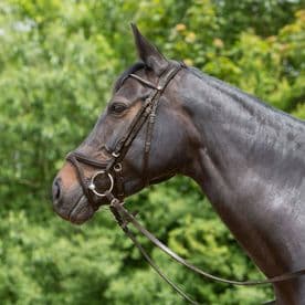 Kieffer Ultrasoft Tara Snaffle Bridle - Brown
