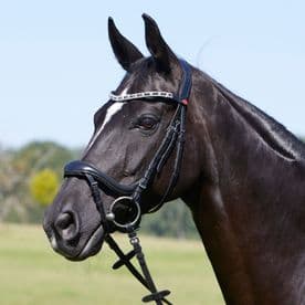 Kieffer Viola Snaffle Bridle - Black