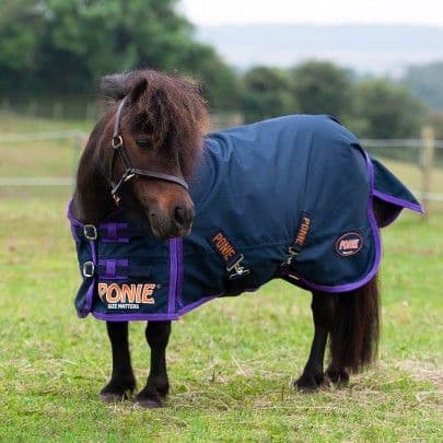 Ponie Lightweight No Fill Turnout Rug