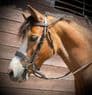 Rubber double jointed Loose Ring Snaffle. 40mm Rings