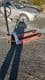 Pallet truck
