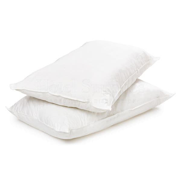 HypoAllergenic Clusterfill Pillows Case 10