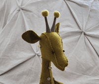 Giraffe Ossicones